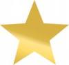 gold-star4